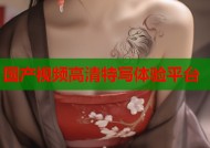 国产视频高清特写体验平台
