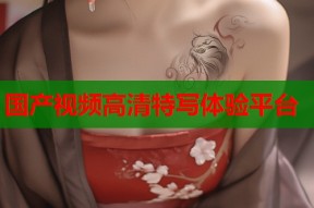 国产视频高清特写体验平台