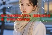 国产在线视频综合平台：海量影视在线看，多样化内容任你选