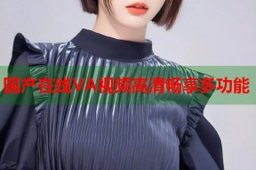 国产在线VA视频高清畅享多功能