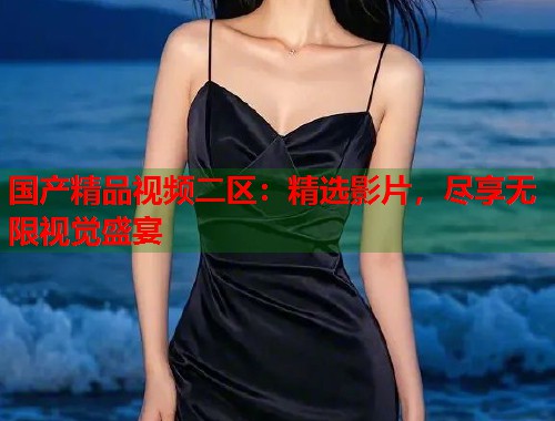 国产精品视频二区：精选影片，尽享无限视觉盛宴  第1张
