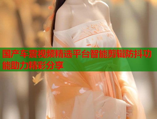 国产车震视频精选平台智能剪辑防抖功能助力精彩分享  第1张